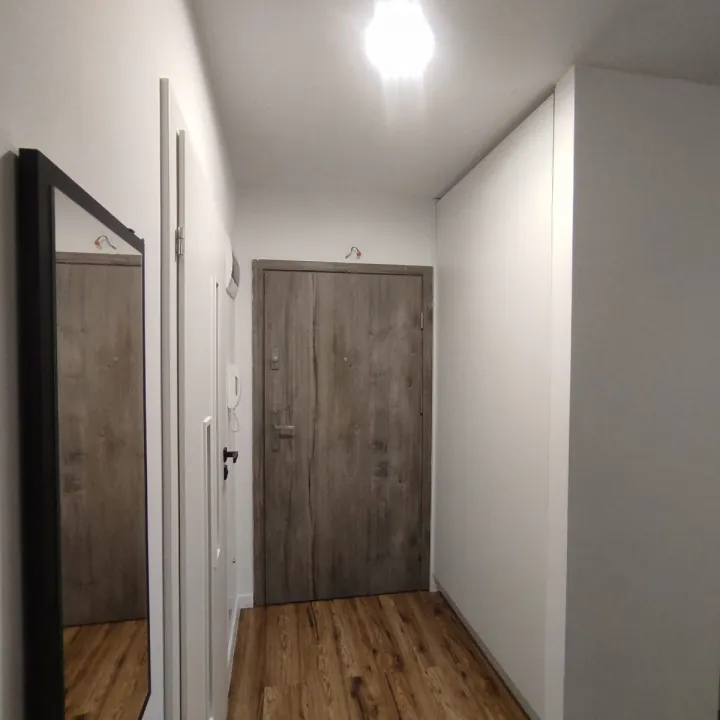 Przedpokój z szafą i lustrem, drzwi wejściowe