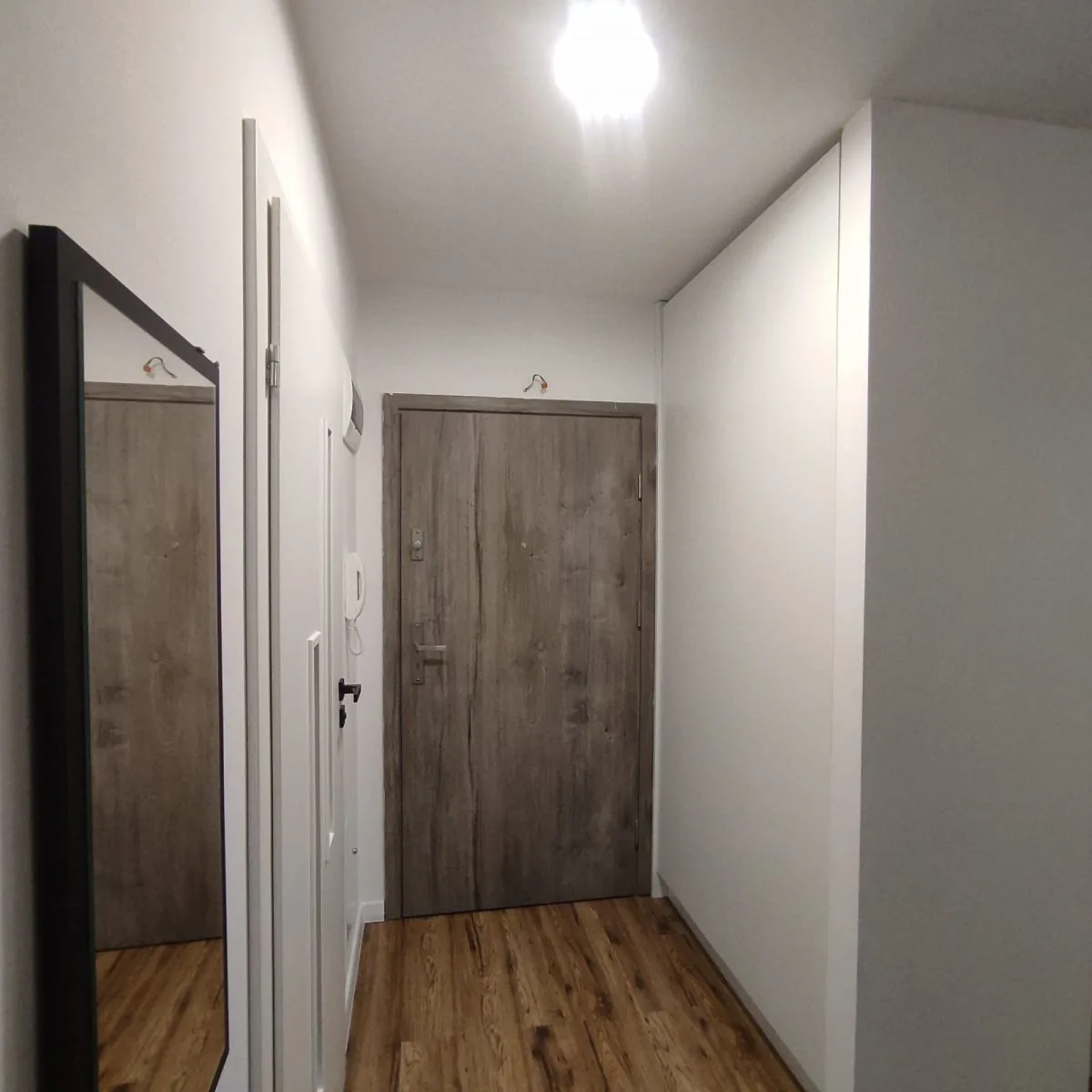 Przedpokój z szafą i lustrem, drzwi wejściowe